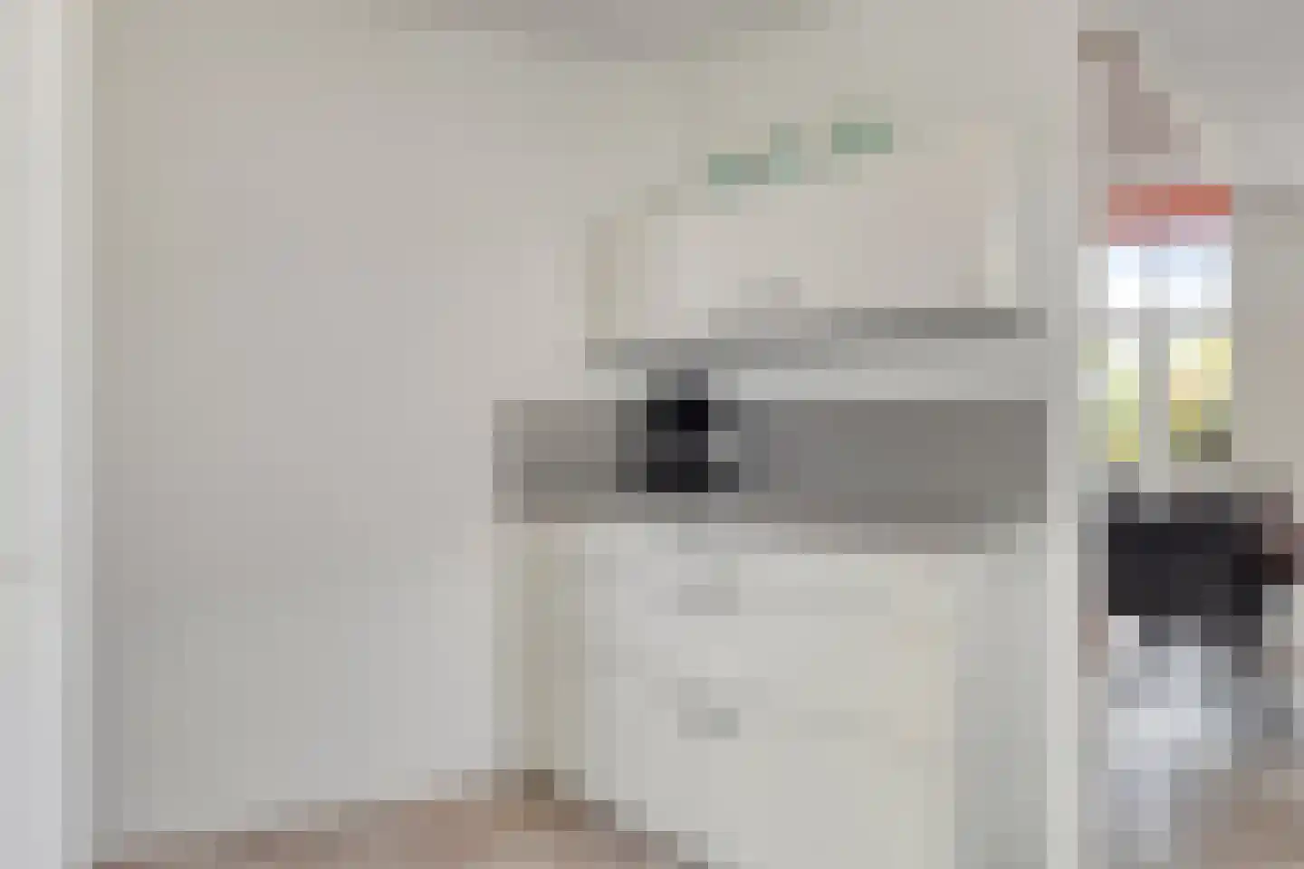 Zilvermeeuw 46 Zoutelande thumbnail 27