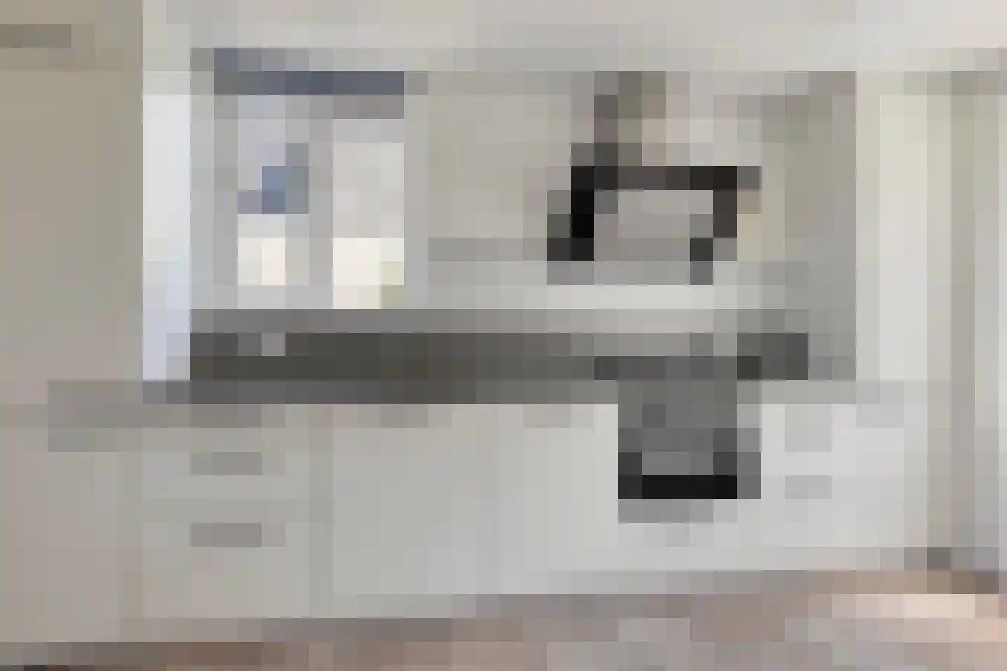 Zilvermeeuw 46 Zoutelande thumbnail 28