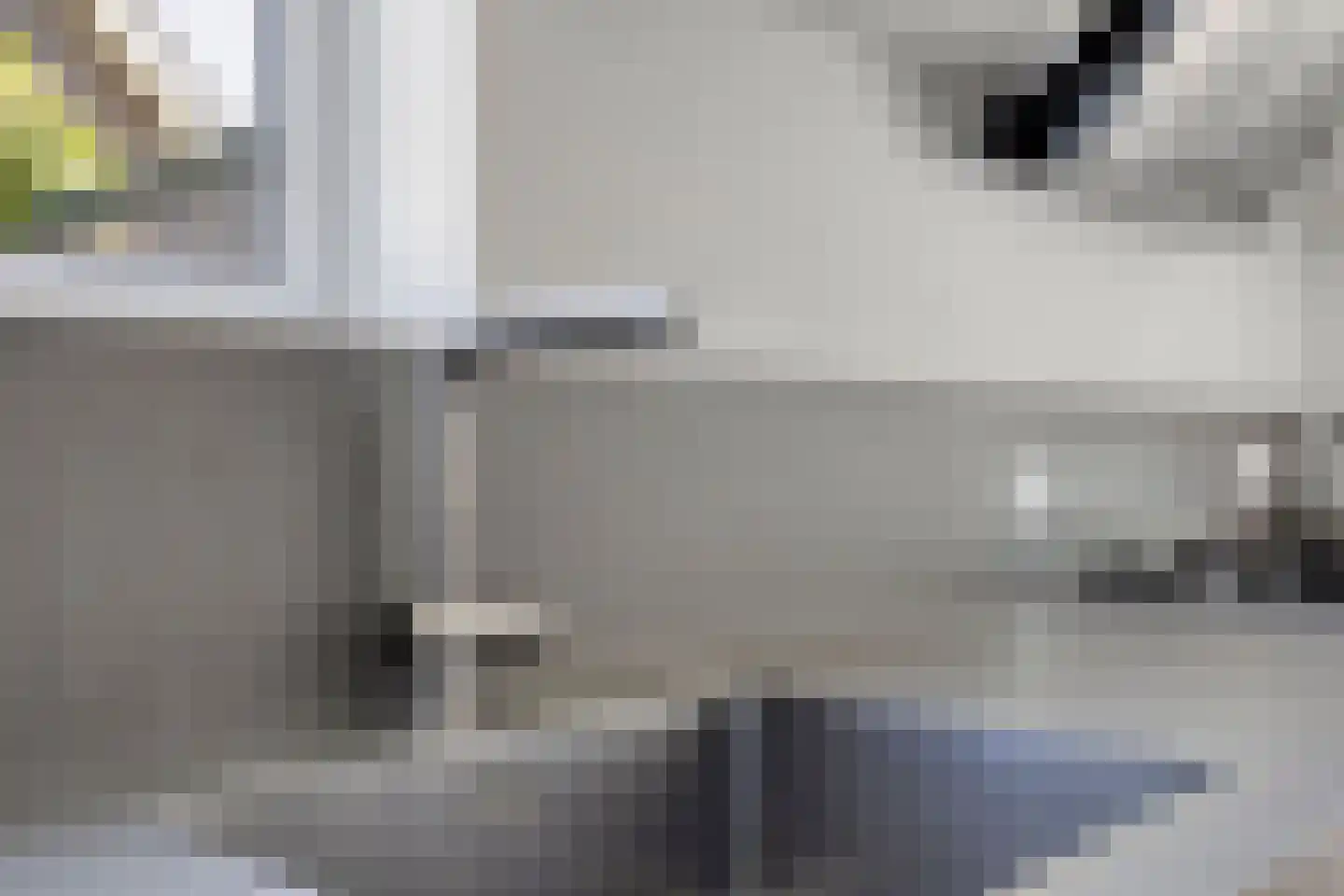 Zilvermeeuw 46 Zoutelande thumbnail 29