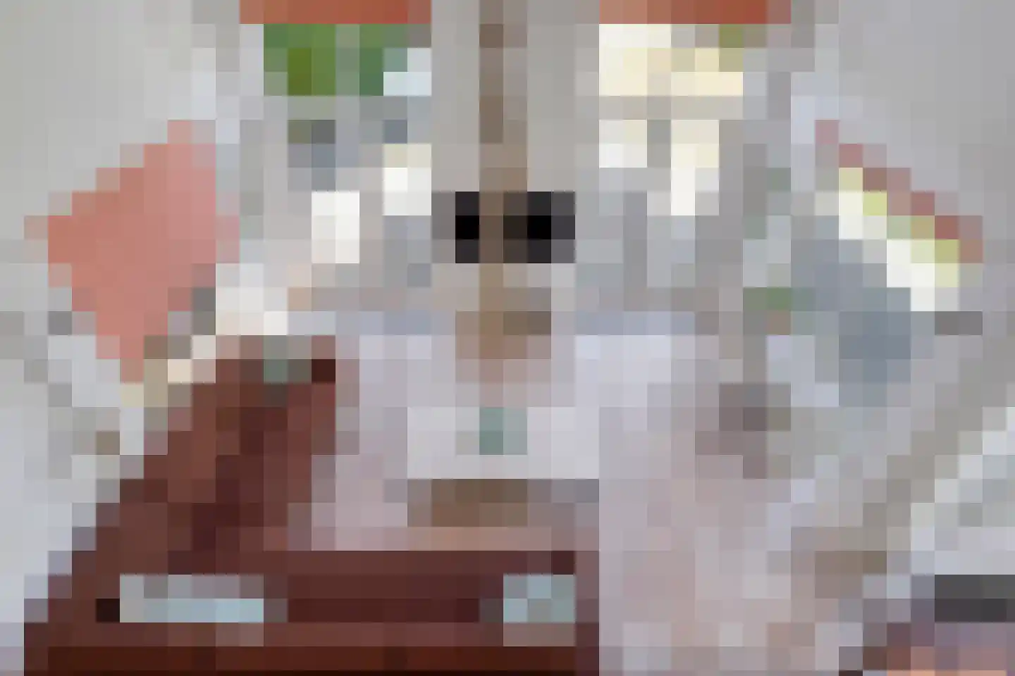 Zilvermeeuw 46 Zoutelande thumbnail 31