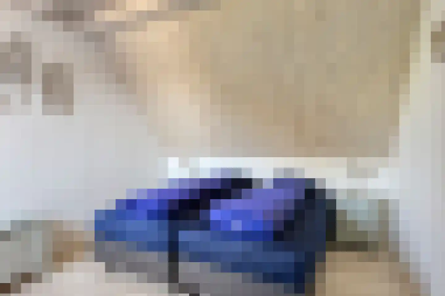 Zilvermeeuw 46 Zoutelande thumbnail 32