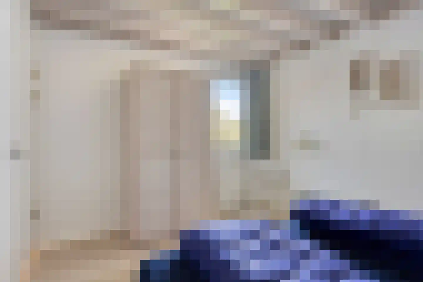 Zilvermeeuw 46 Zoutelande thumbnail 33