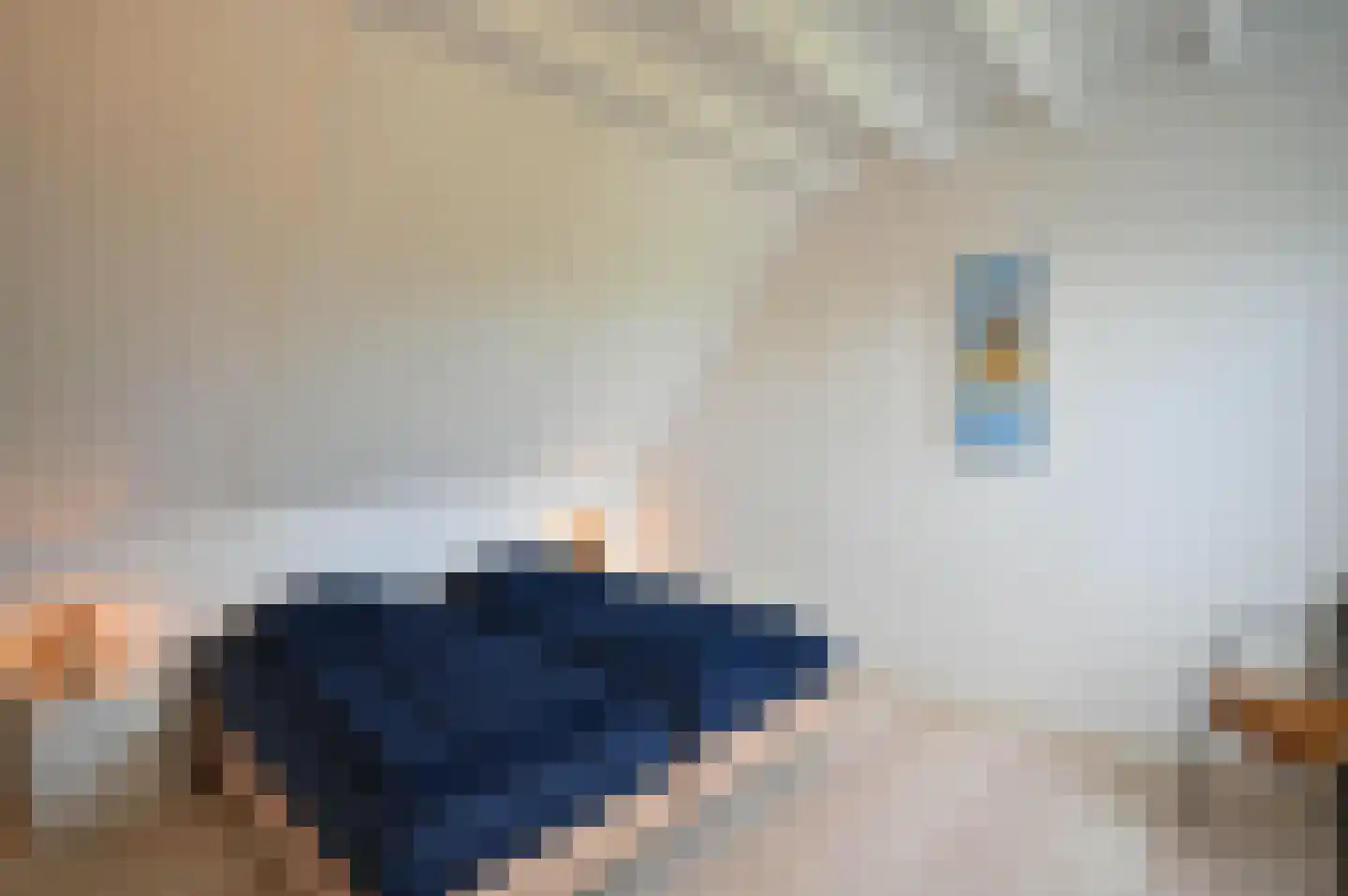 Zilvermeeuw 46 Zoutelande thumbnail 34