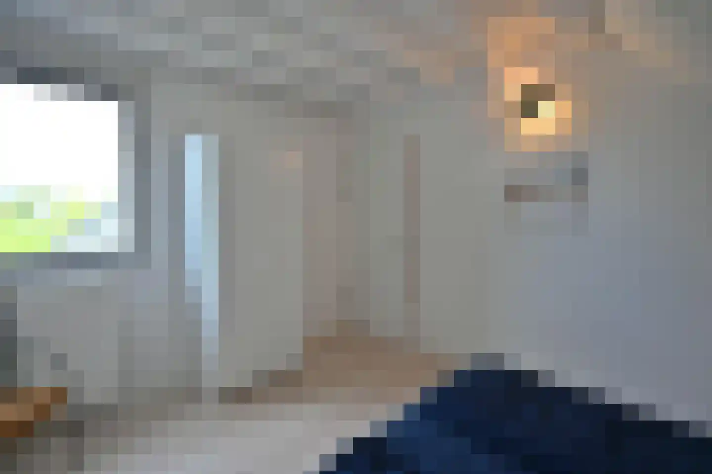 Zilvermeeuw 46 Zoutelande thumbnail 35