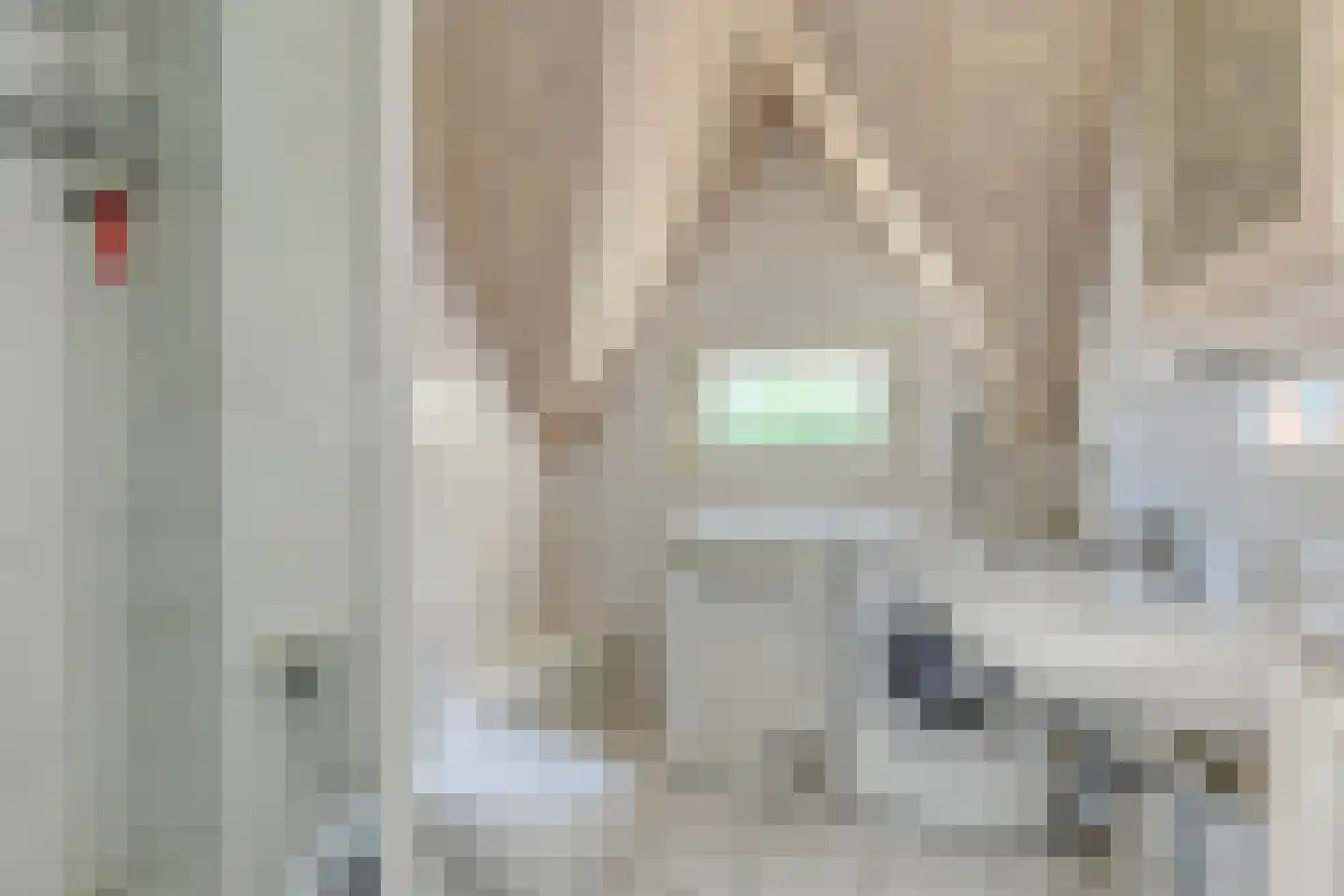 Zilvermeeuw 46 Zoutelande thumbnail 36