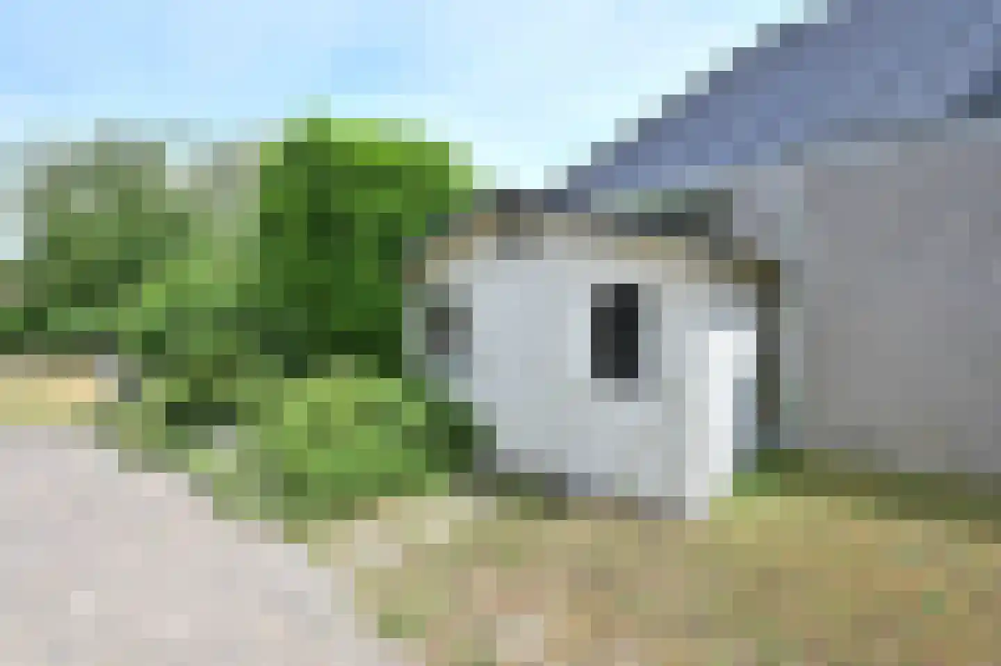 Zilvermeeuw 46 Zoutelande thumbnail 38