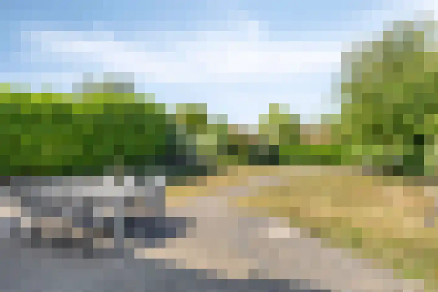 Zilvermeeuw 46 Zoutelande thumbnail 4