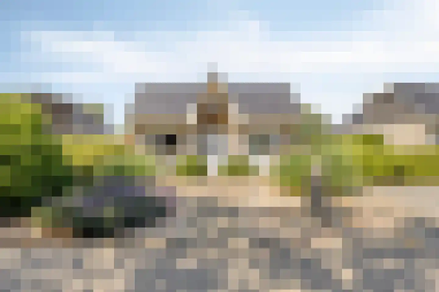 Zilvermeeuw 46 Zoutelande thumbnail 5