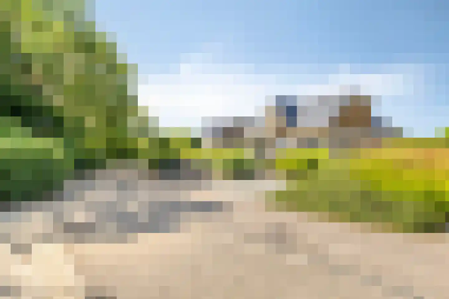 Zilvermeeuw 46 Zoutelande thumbnail 6