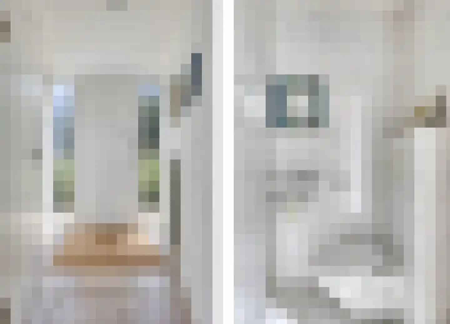 Zilvermeeuw 46 Zoutelande thumbnail 7