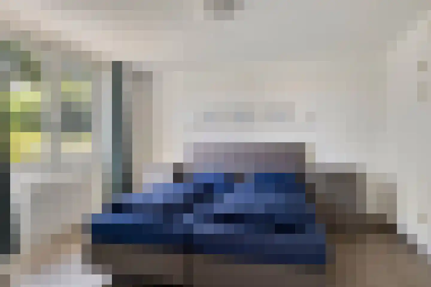 Zilvermeeuw 46 Zoutelande thumbnail 8