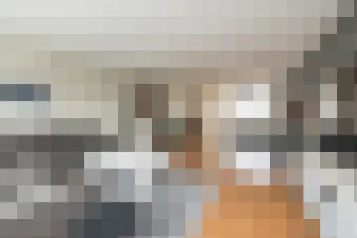 Zilvermeeuw 47 Noordwijk thumbnail 11