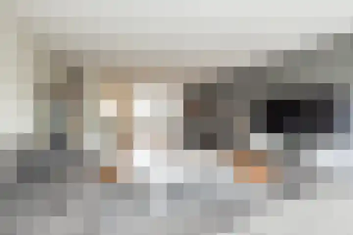 Zilvermeeuw 47 Noordwijk thumbnail 12