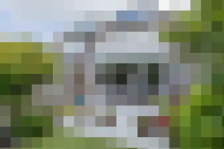 Zilvermeeuw 47 Noordwijk thumbnail 15