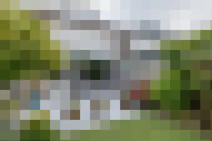 Zilvermeeuw 47 Noordwijk thumbnail 16