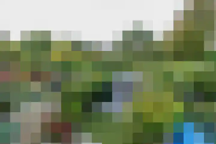 Zilvermeeuw 47 Noordwijk thumbnail 21