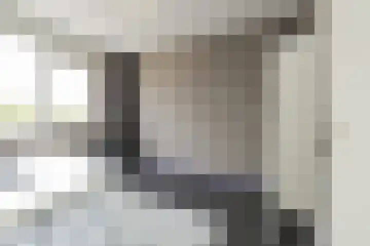 Zilvermeeuw 47 Noordwijk thumbnail 26