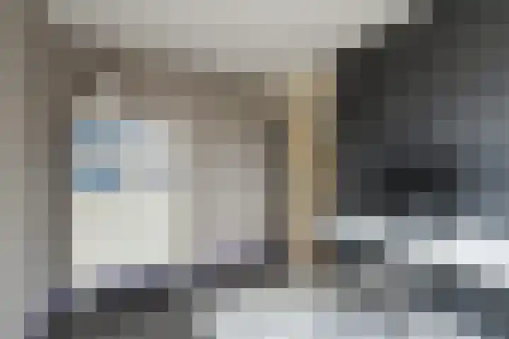 Zilvermeeuw 47 Noordwijk thumbnail 27