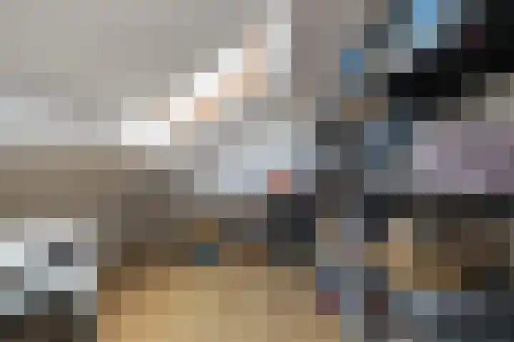 Zilvermeeuw 47 Noordwijk thumbnail 30