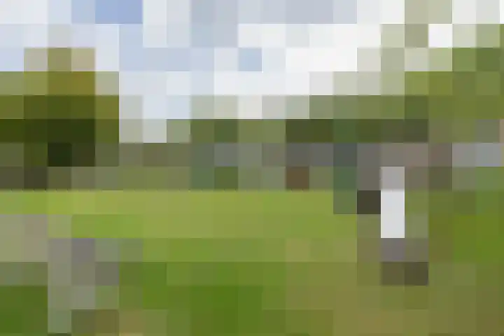 Zilvermeeuw 47 Noordwijk thumbnail 31