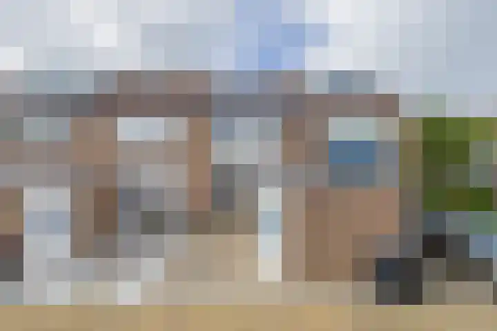 Zilvermeeuw 47 Noordwijk thumbnail 32