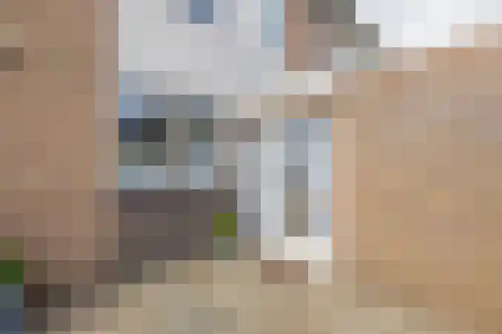 Zilvermeeuw 47 Noordwijk thumbnail 4