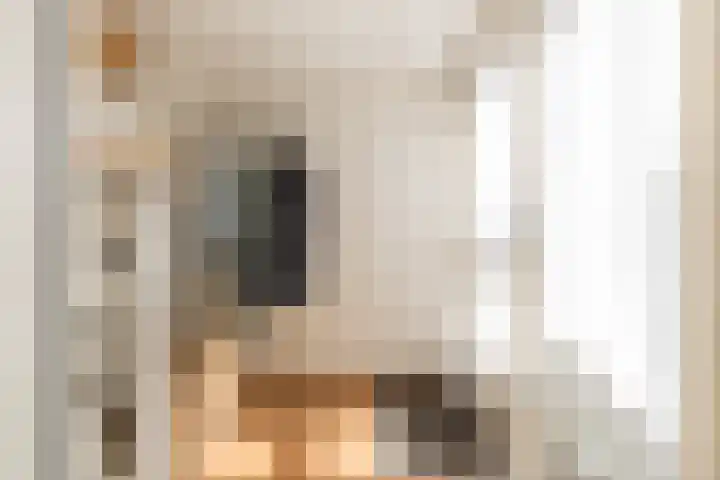 Zilvermeeuw 47 Noordwijk thumbnail 5