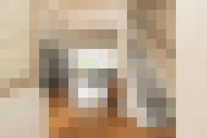 Zilvermeeuw 47 Noordwijk thumbnail 6