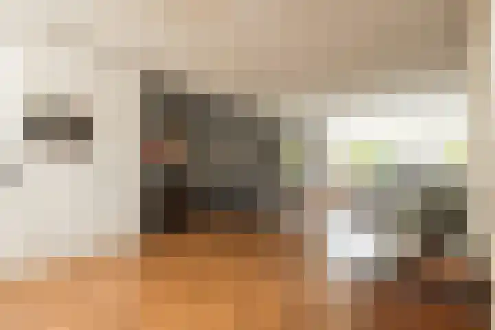 Zilvermeeuw 47 Noordwijk thumbnail 7