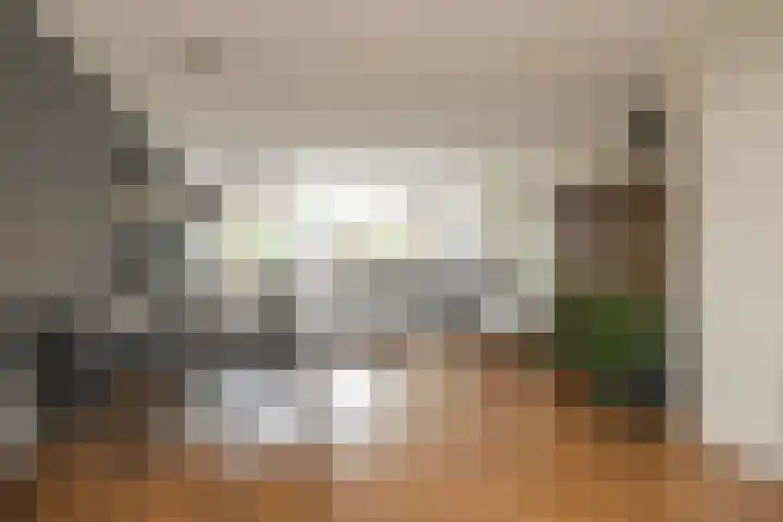 Zilvermeeuw 47 Noordwijk thumbnail 8