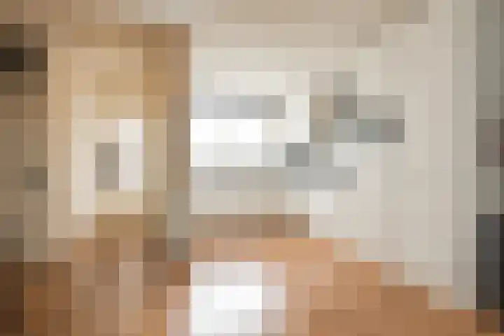 Zilvermeeuw 47 Noordwijk thumbnail 9