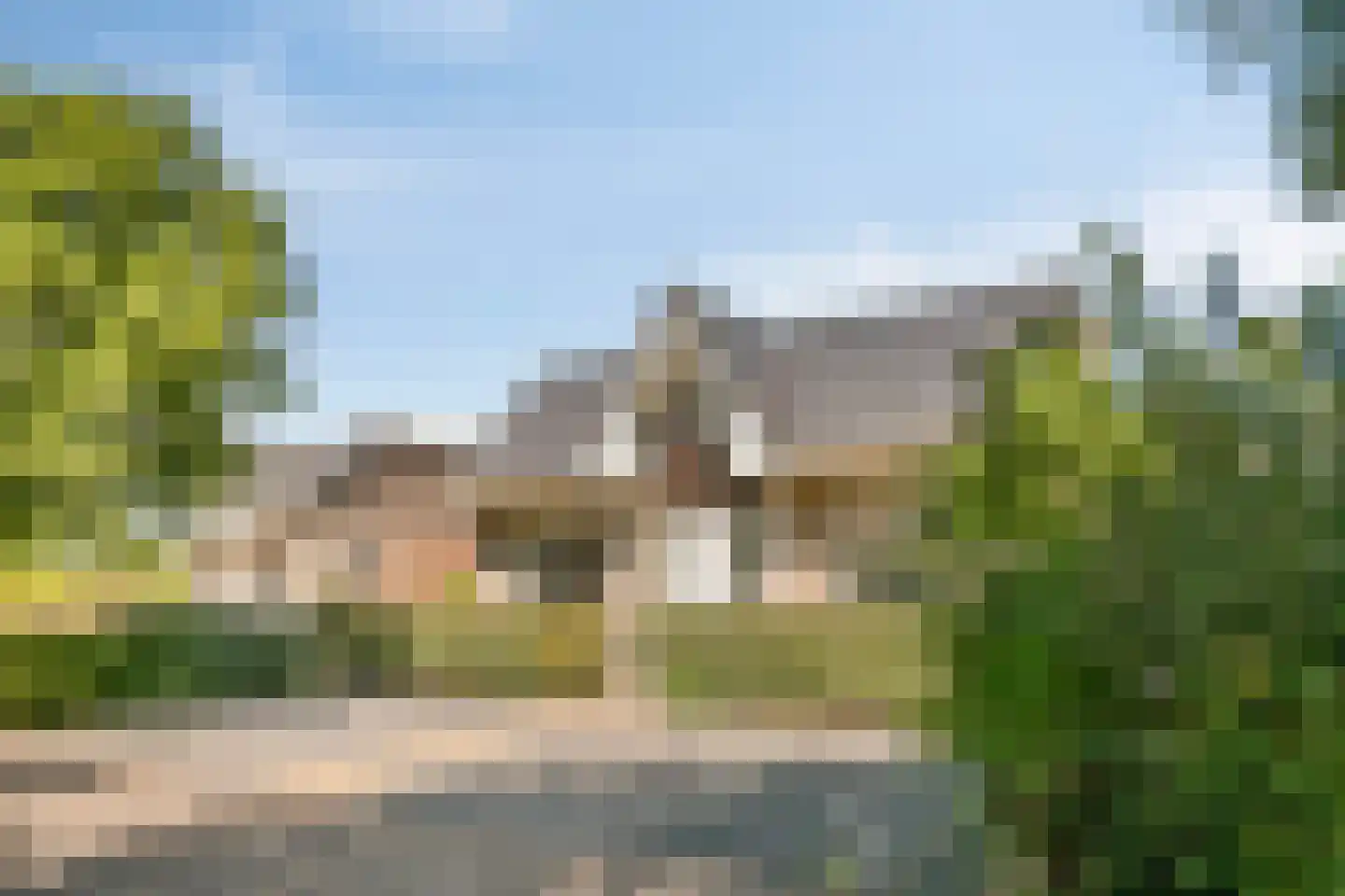 Zilvermeeuw 50 Zoutelande