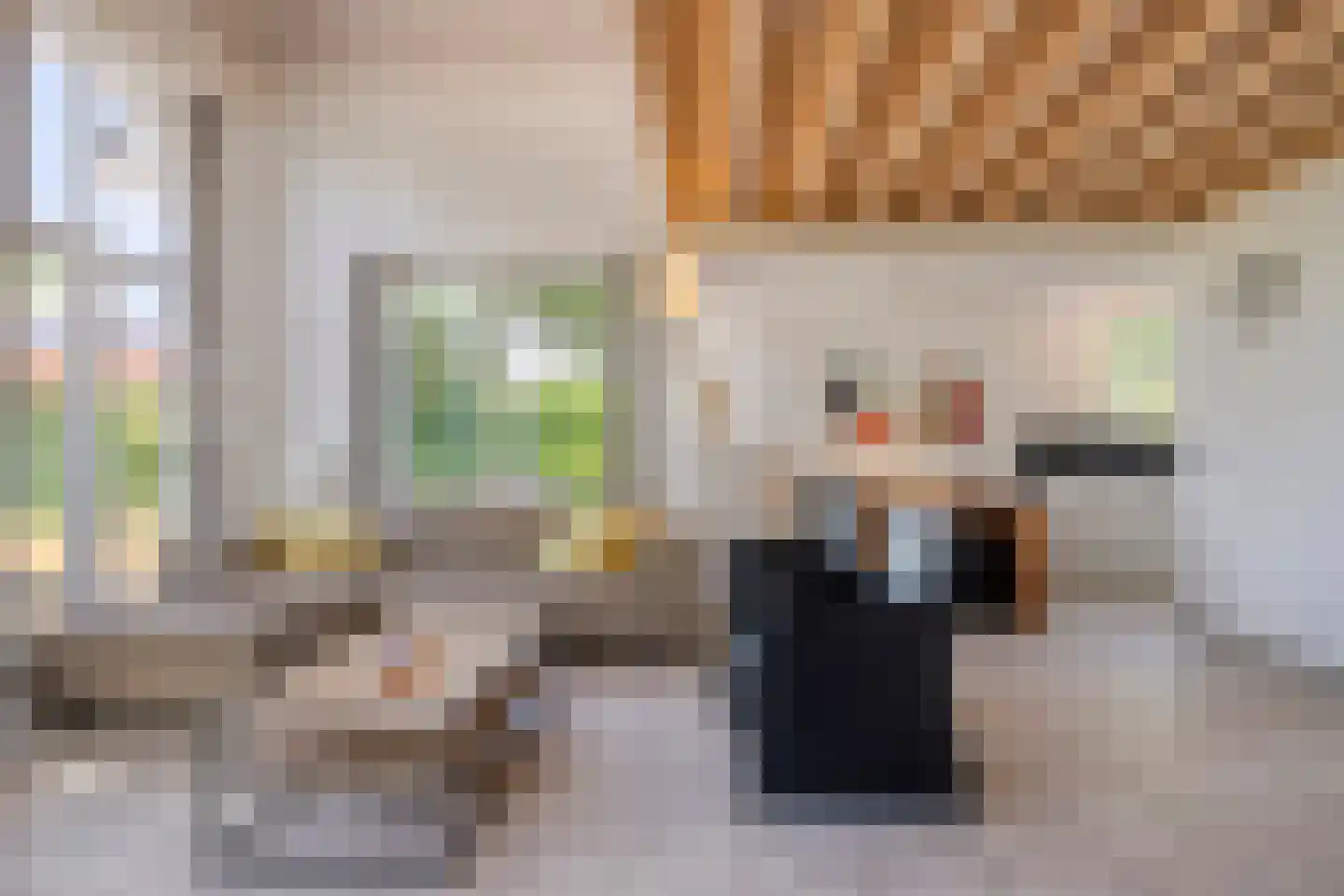 Zilvermeeuw 50 Zoutelande thumbnail 11