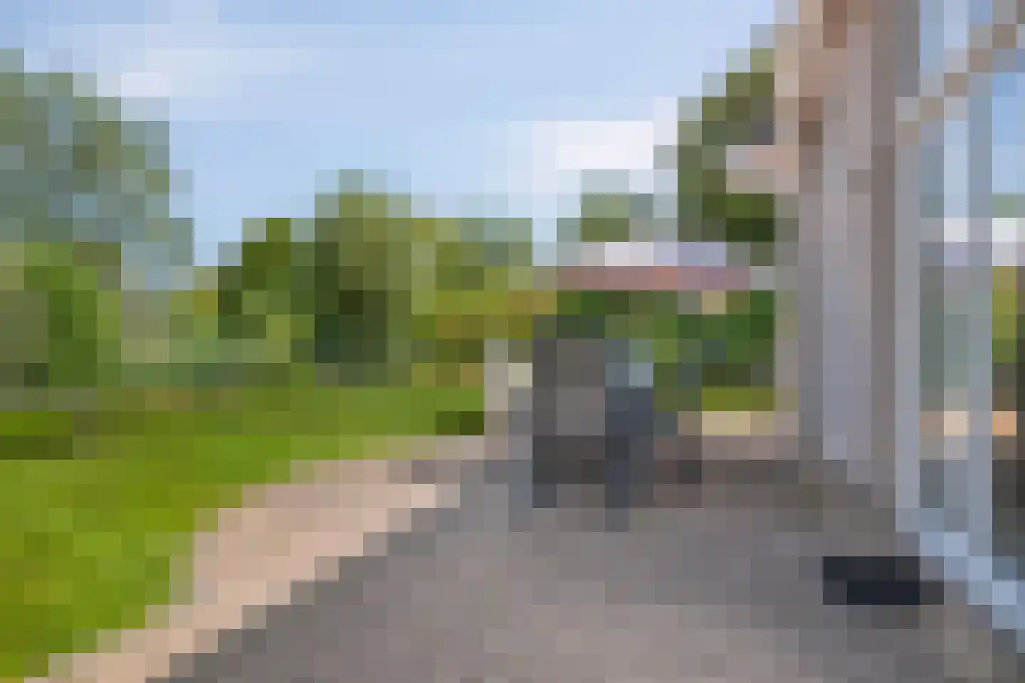 Zilvermeeuw 50 Zoutelande thumbnail 13