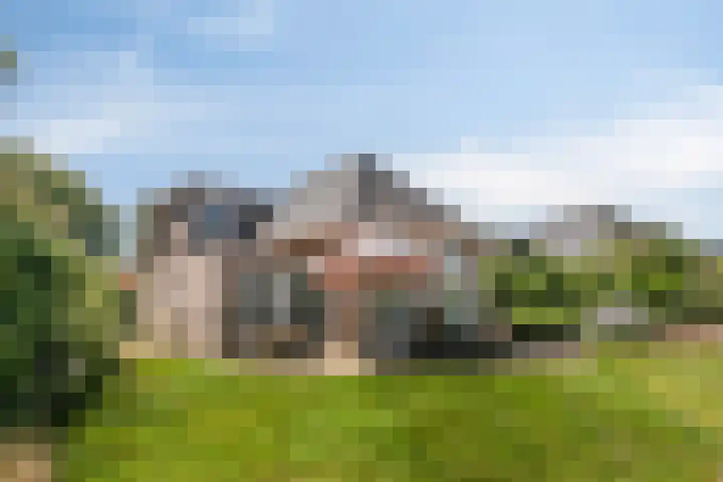 Zilvermeeuw 50 Zoutelande thumbnail 15