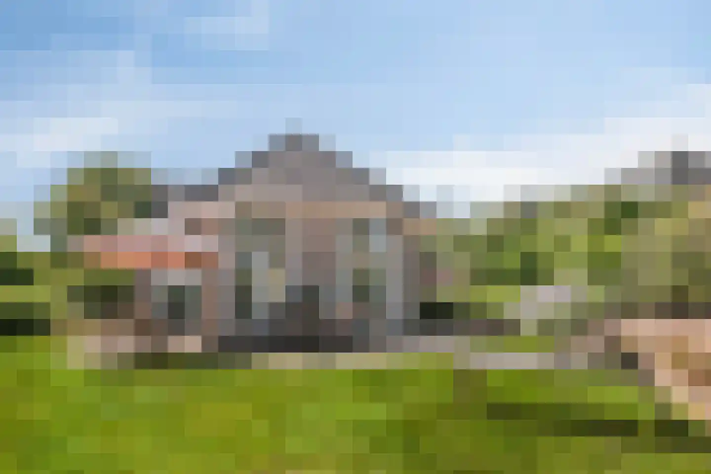 Zilvermeeuw 50 Zoutelande thumbnail 16