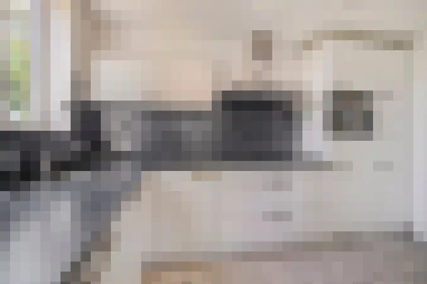 Zilvermeeuw 50 Zoutelande thumbnail 19