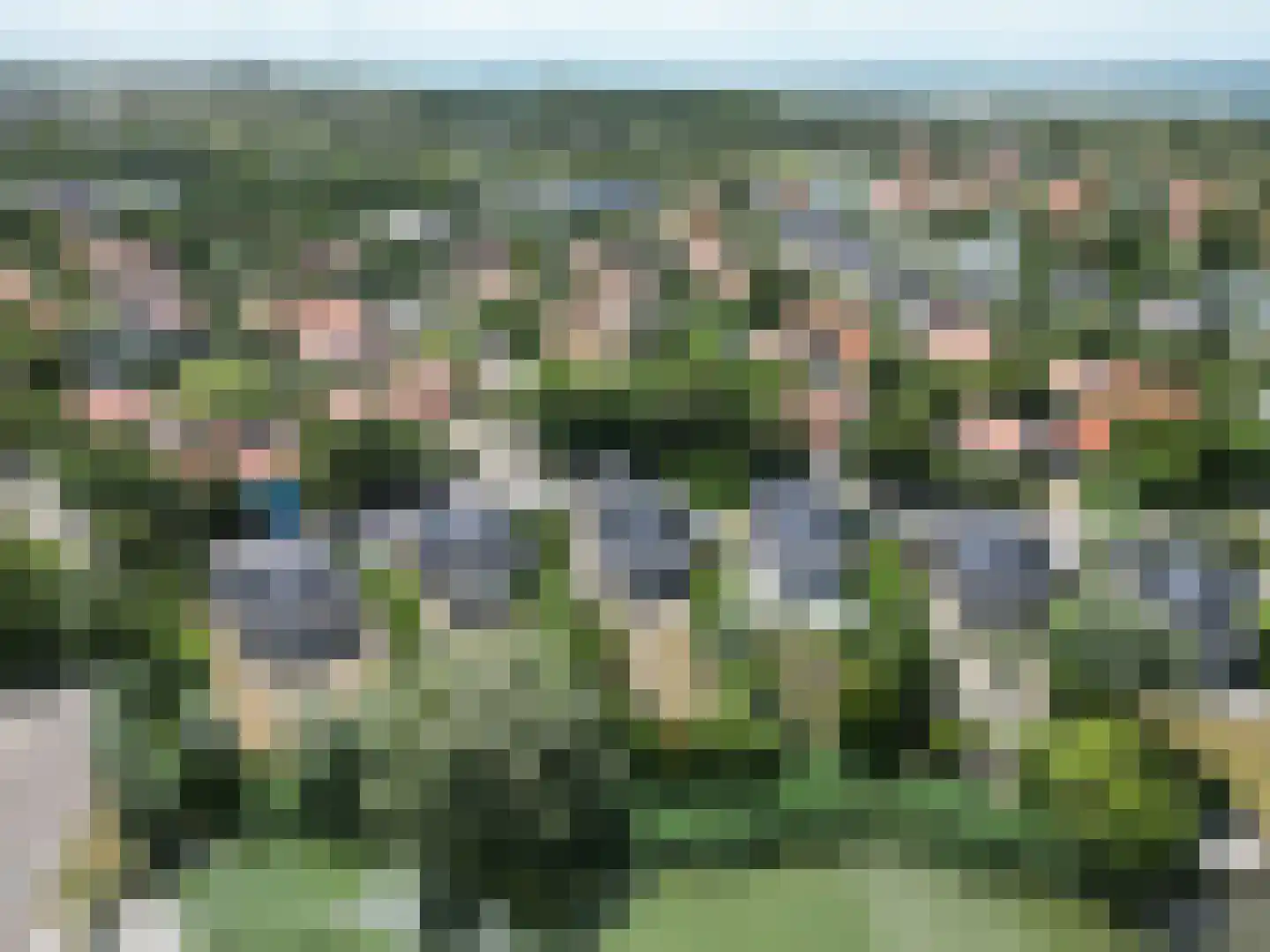 Zilvermeeuw 50 Zoutelande foto 2