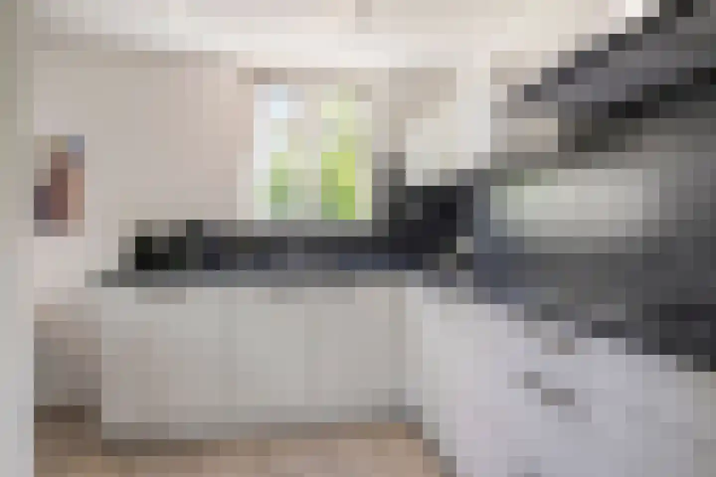 Zilvermeeuw 50 Zoutelande thumbnail 21