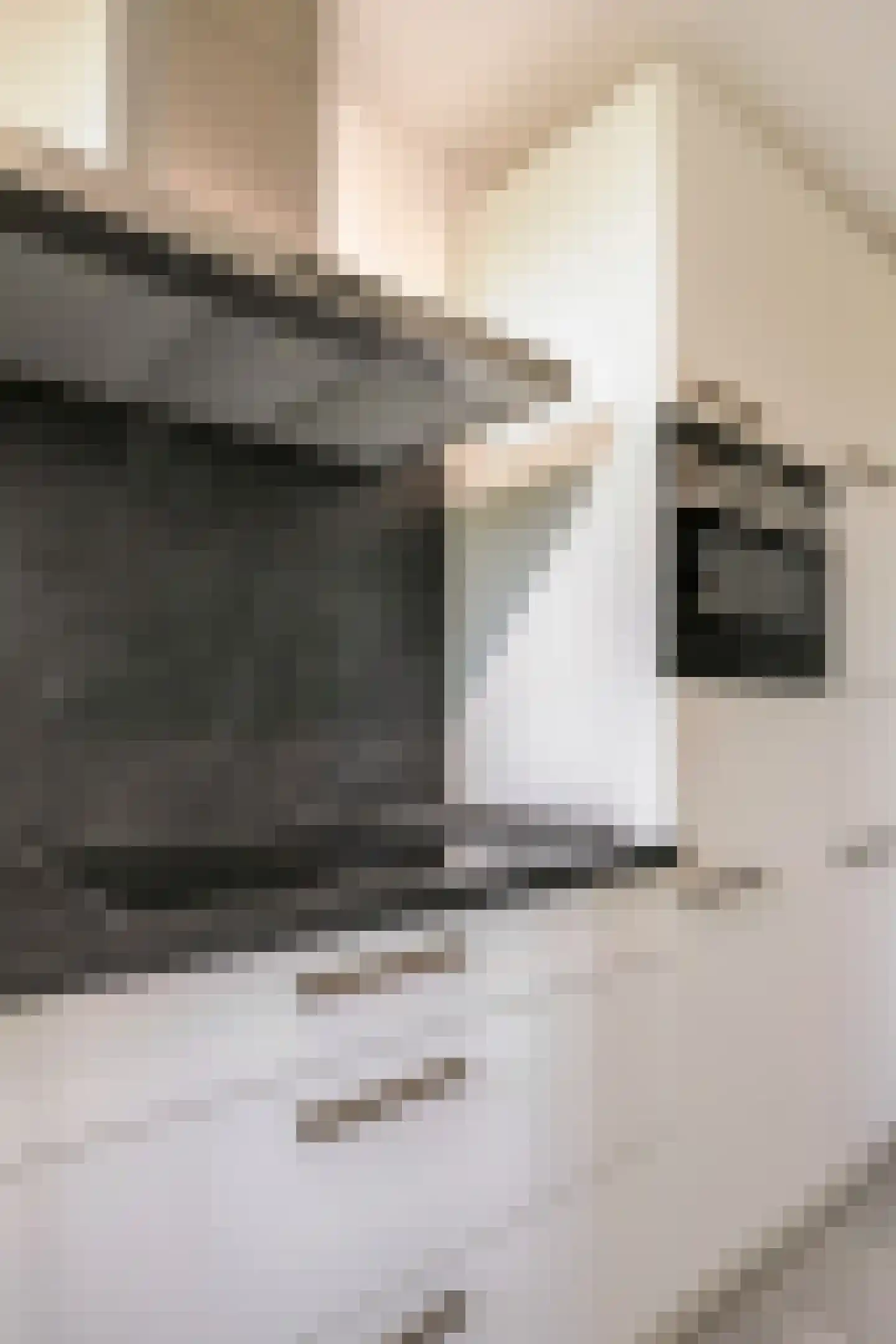 Zilvermeeuw 50 Zoutelande thumbnail 22