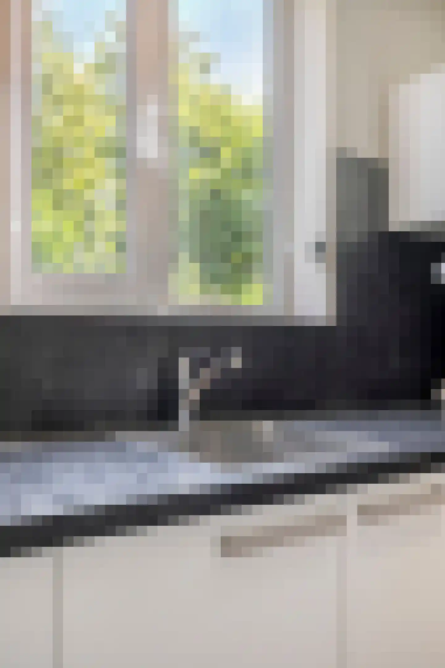 Zilvermeeuw 50 Zoutelande thumbnail 23