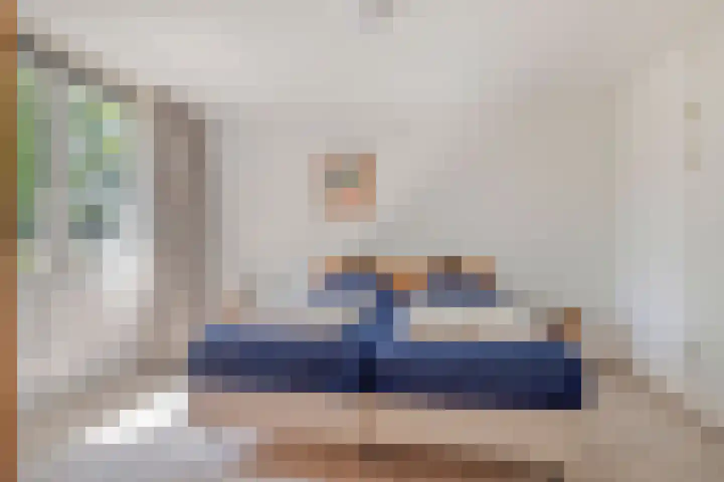Zilvermeeuw 50 Zoutelande thumbnail 24