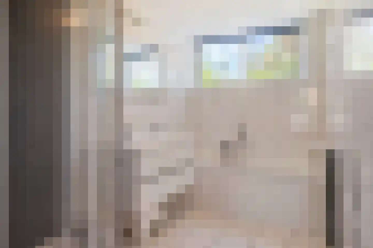 Zilvermeeuw 50 Zoutelande thumbnail 26