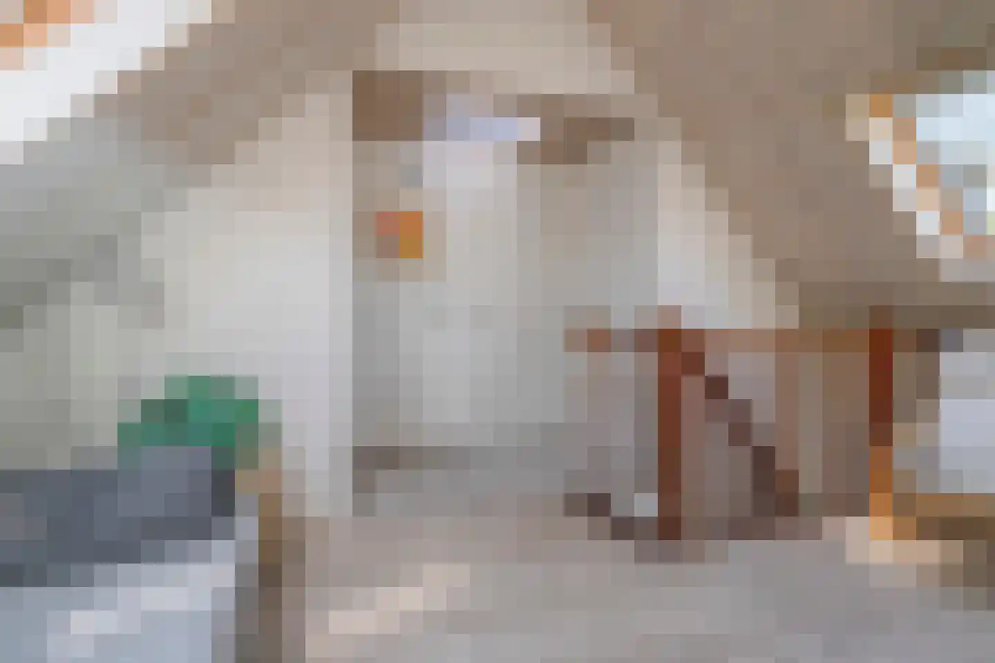 Zilvermeeuw 50 Zoutelande thumbnail 29