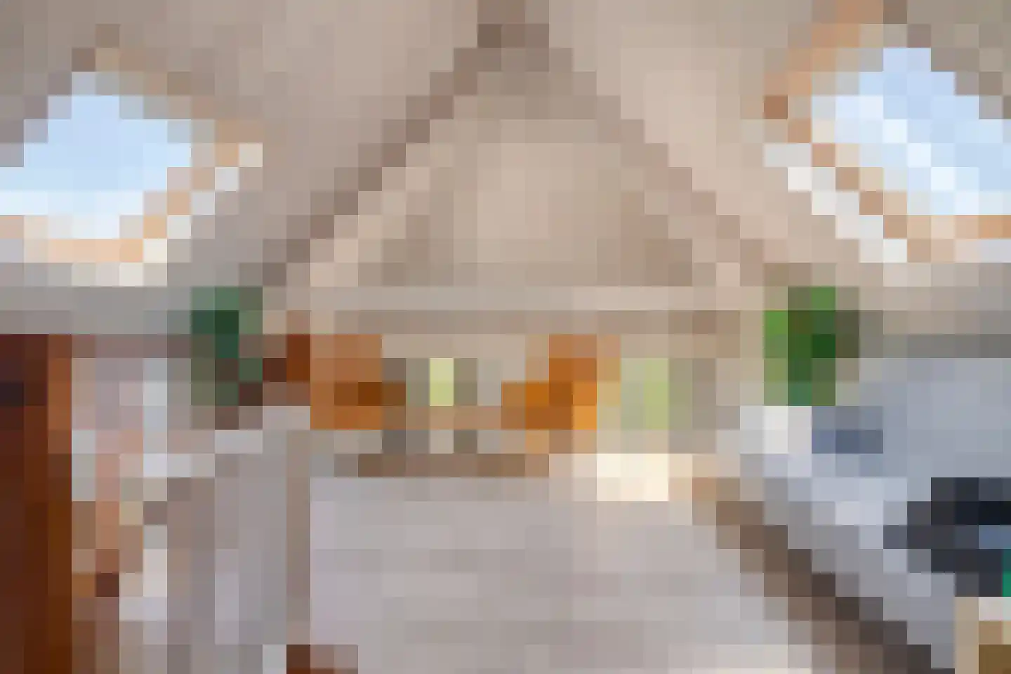Zilvermeeuw 50 Zoutelande thumbnail 30