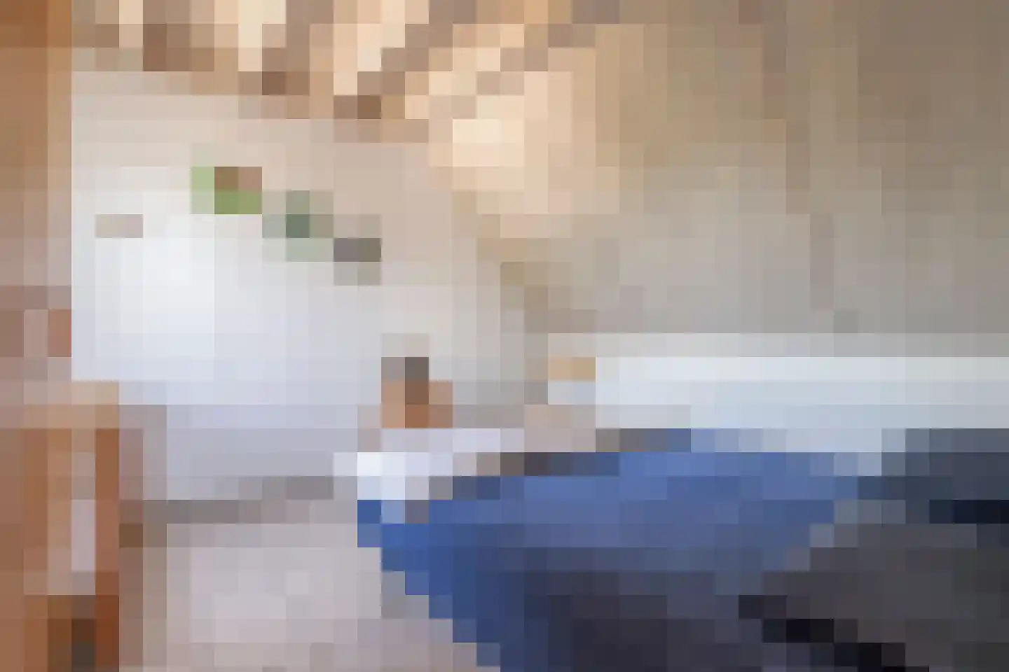 Zilvermeeuw 50 Zoutelande thumbnail 31