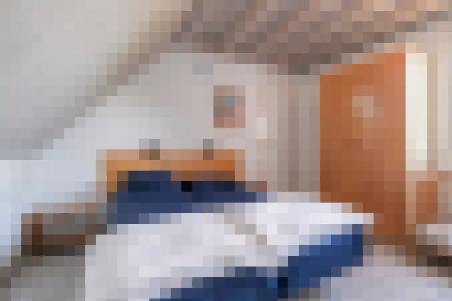 Zilvermeeuw 50 Zoutelande thumbnail 32