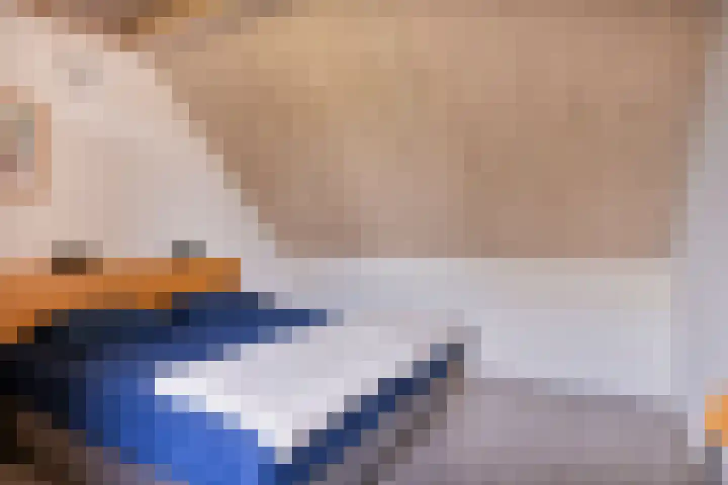 Zilvermeeuw 50 Zoutelande thumbnail 34