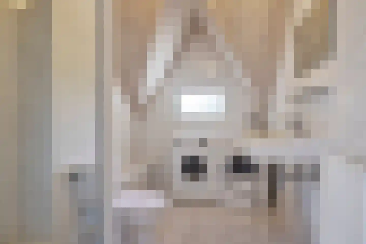 Zilvermeeuw 50 Zoutelande thumbnail 35