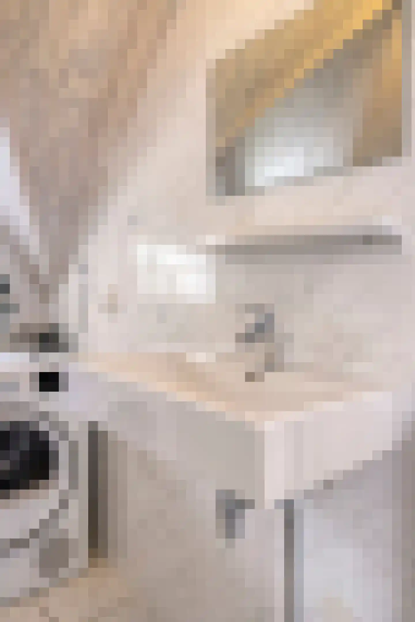 Zilvermeeuw 50 Zoutelande thumbnail 36
